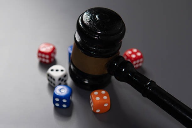 king555 Live Casino